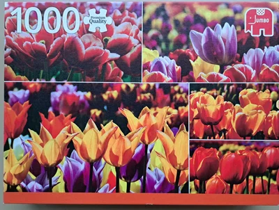 Tulips From Holland