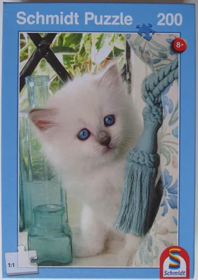 Katze Florice