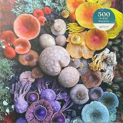 Shrooms In Bloom