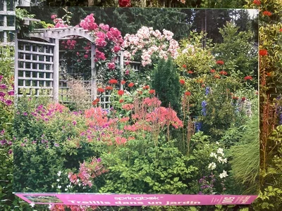 Garden Arbor