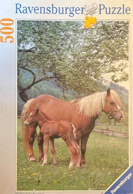 Haflinger