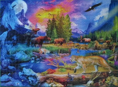 The Wild North