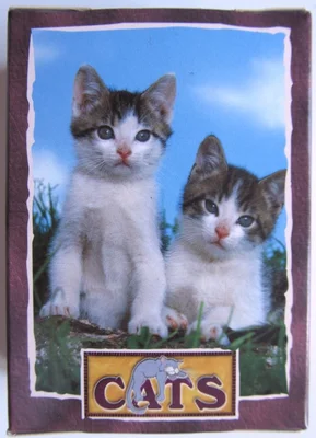 Two Kittens