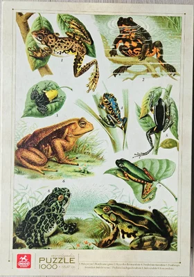 Encyclopedia puzzle Frogs