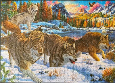 Wolves In The Forest