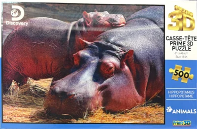 Hippopotamus