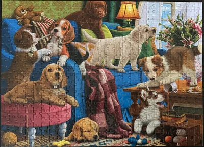 Playful Puppies