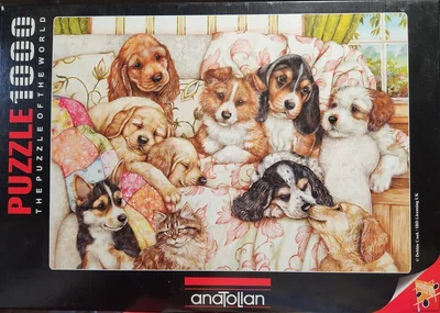Puppies