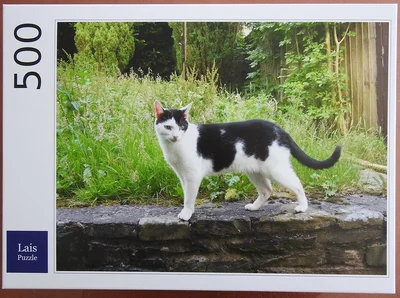Katze