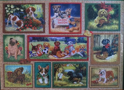 The Puppy Card