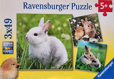 Cute Bunnies
