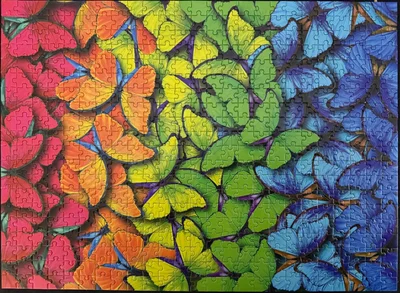 Butterfly Maze