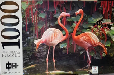 Flamingo Couple