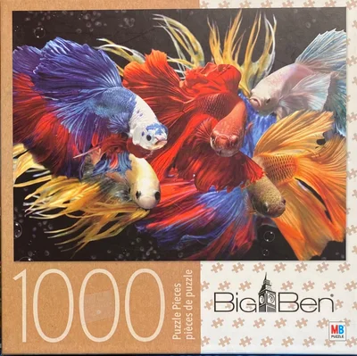 Fighting Fish