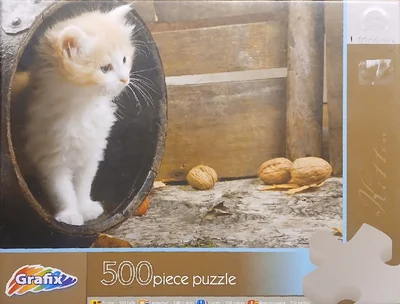 Kitten