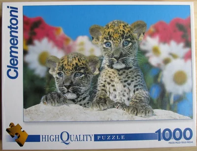 Leopard Cubs
