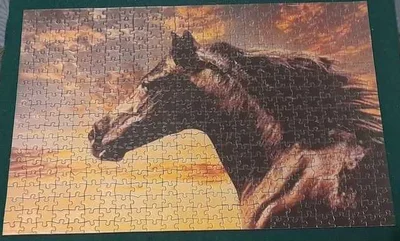 Cheval noir