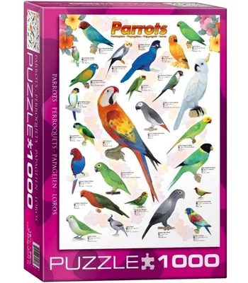 Parrots