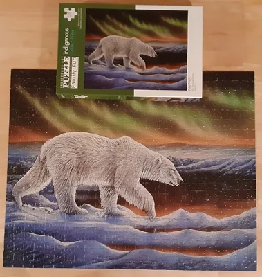 Polar Night