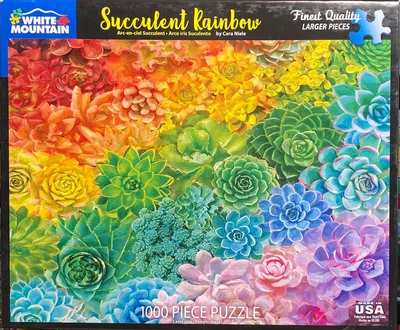 Succulent Rainbow