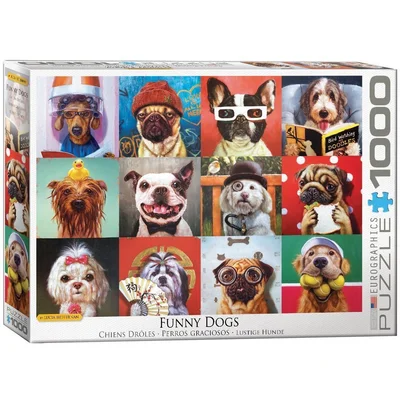 Funny Dogs