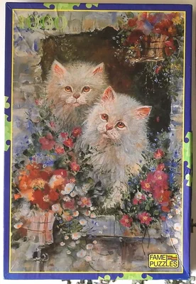 Cats