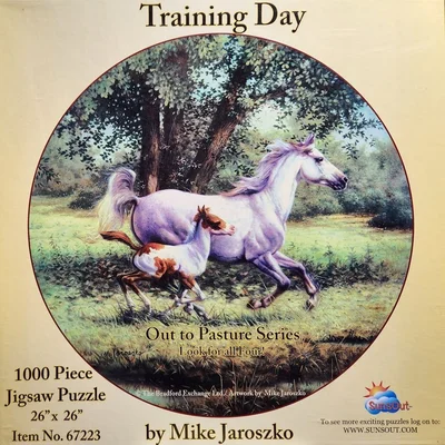 Training Day