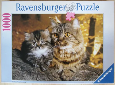Katze mit Jungem