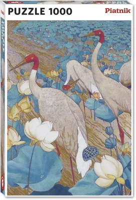 Plumage