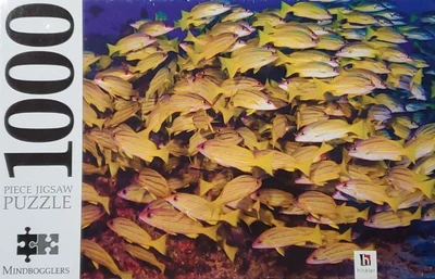 Blue Striped Snappers
