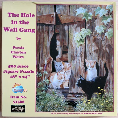 The Hole in the Wall Gang