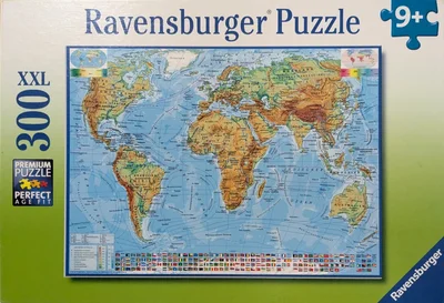 Political map of the world