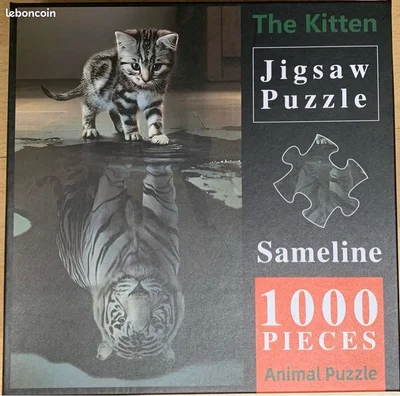 The kitten