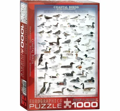 Coastal Birds