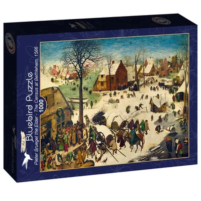 The Census at Bethlehem, 1566