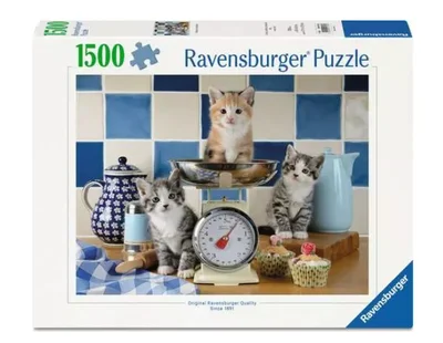 Chatons dans la cuisine
