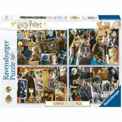 Harry Potter 4x100