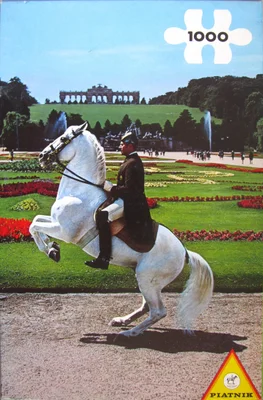 Lipizzaner in Schönbrunn