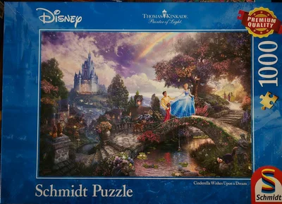 Cinderella Wishes Upon a Dream - Cendrillon