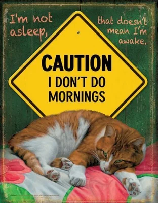 I Don't do Mornings