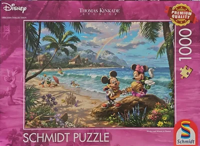 Mickey and Minnie in Hawaii