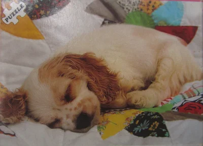 Schlafender Hund