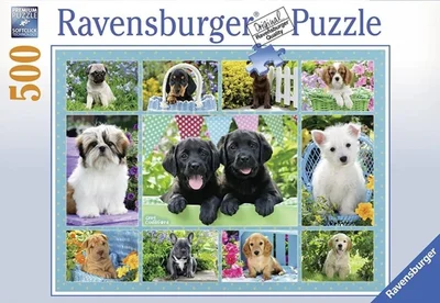 Pruning Dogs