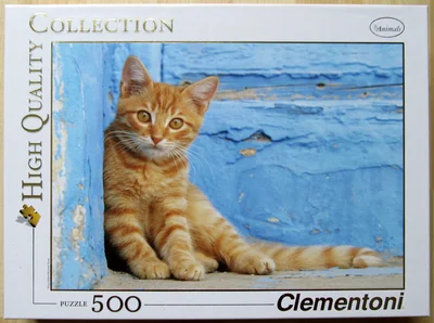 Ginger Cat