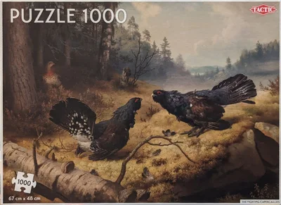 The Fighting Capercaillies