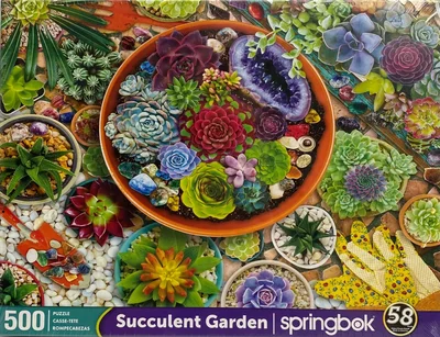 Succulent Garden
