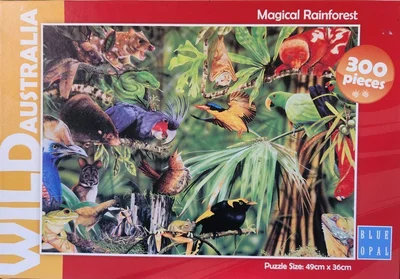 Magical Rainforest