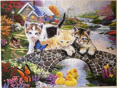 A Purr-Fect Day