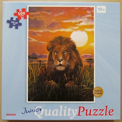 Lion in the Serengeti