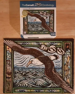 Laysan Albatross
